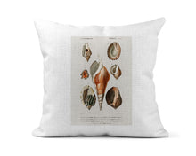 Load image into Gallery viewer, Sea Shell Nature Print Pillow
