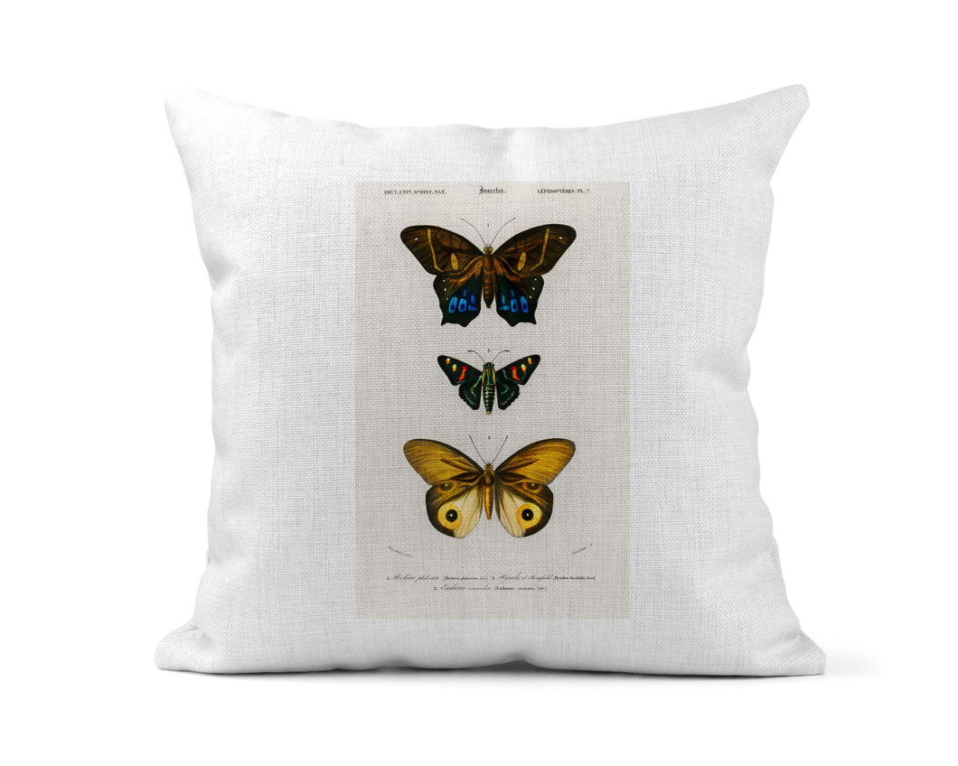 Butterfly Nature Print Pillow