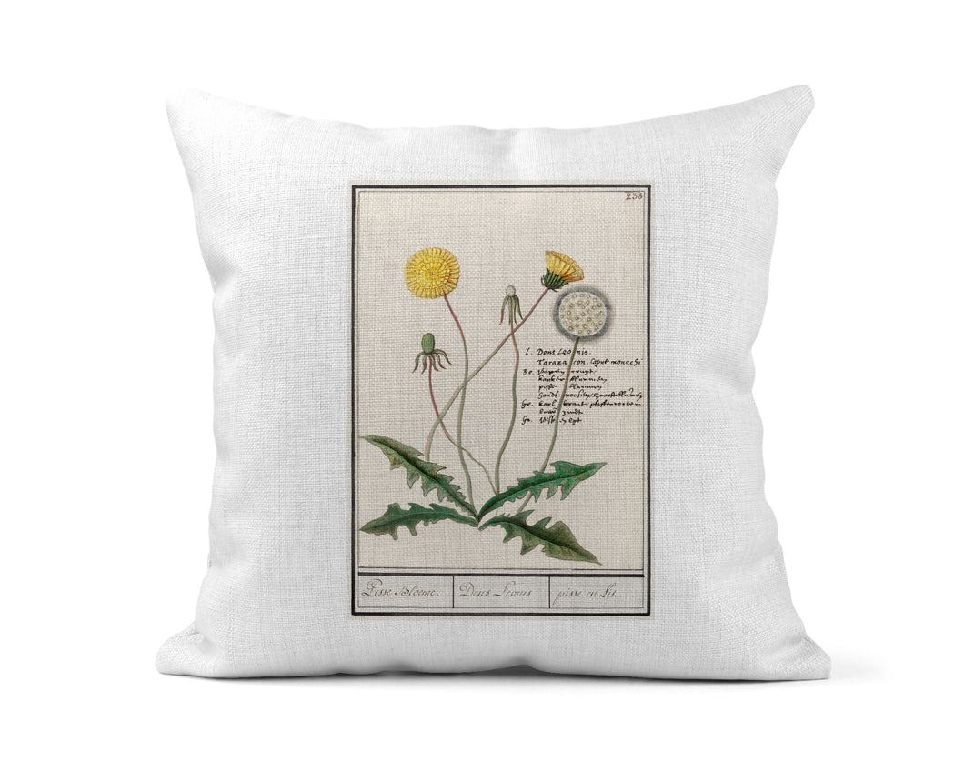 Dandelion Vintage Botanical Print Pillow