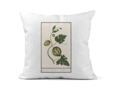 Load image into Gallery viewer, Melon Vintage Botanical Print Pillow
