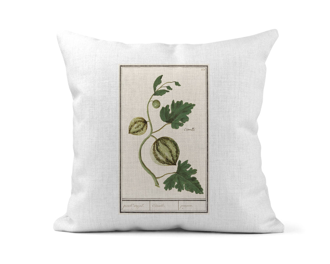 Melon Vintage Botanical Print Pillow