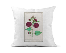 Load image into Gallery viewer, Rosea (Hollyhock) Vintage Botanical Print Pillow
